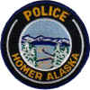 alaska_homer_police.JPG (78423 Byte)