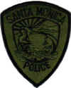 california_santa_monica_police_swat.jpg (23146 Byte)