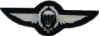 oesterreich_bundesgendarmerie_gek_fluegel_silber.jpg (7738 Byte)